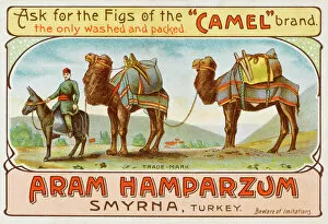 Izmir, Turkey - Camel brand figs