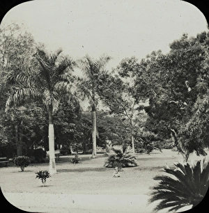Jamaica - Kings House Grounds, Kingston Jamaica - Kings House Grounds, Kingston