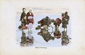 Japan - Women collecting mussels on the beach at low tide Japan - Women collecting mussels on the beach at low tide