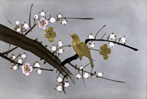 Japanese art postcard - Golden bird perched in blossom tree Japanese art postcard - Golden bird perched in blossom tree