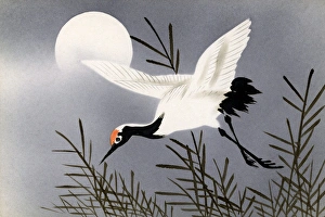 Japanese art postcard - Stork in flight beneath the moon Japanese art postcard - Stork in flight beneath the moon