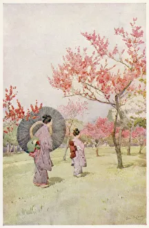 <b class=qtipBold><figcaption>Japanese Peach Blossom</figcaption></b><br>Two Japanese women admiring peach trees in blossom.<br><em>© Mary Evans Picture Library</em> Japanese Peach Blossom
