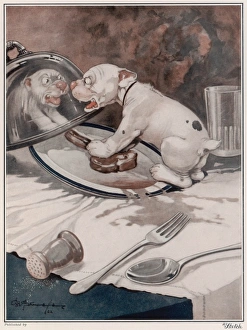 <b class=qtipBold><figcaption>Jimmy Wild by George Studdy</figcaption></b><br>A rather stupid Bonzo, the comic canine creation of George Studdy is distracted from stealing a chop by his reflection in a silver, domed platter cover. Credit line must read: Estate of George Studdy/Gresham Marketing Ltd./Mary Evan"<br><em>© Estate of George Studdy/Gresham Marketing Ltd./Mary Evans</em> Jimmy Wild by George Studdy