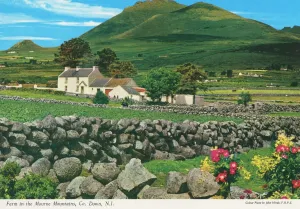 Farm in the Mourne Mountains, Co. Down Print by J. Hinde