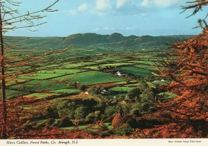 Slieve Gullion Forest Park Print, Co. Armagh, N.I