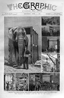 Jumbo the elephant: on the way to the docks Jumbo the elephant: on the way to the docks