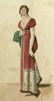 Shawl Gallery: Kashmir Shawl Dress 1810