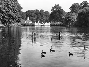 Prints of A charming glimpse of The Long Water, Kensington Gardens, Hyde Park, London. Date: 1940s Kensington Gardens Prints: Kensington Gardens Lake Print, 1940s