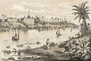 Mombasa Gallery: Kenya / Mombasa 1875