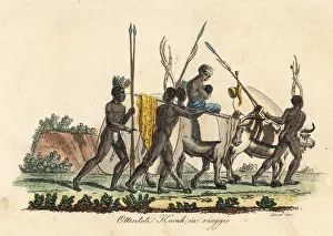 Khoikhoi people of Korah travelling with their cattle Khoikhoi people of Korah travelling with their cattle