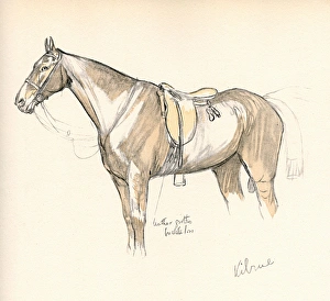 Rutland Gallery: 