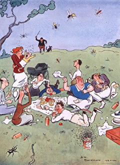 Wasps Gallery: One Kind of Picnic - Another by H. M. Bateman 2 of 2