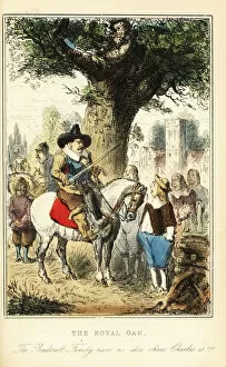 1660 Gallery: King Charles II hiding up an oak tree in Boscobel