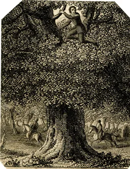 King Charles II in the oak - 18th century engraving King Charles II in the oak - 18th century engraving