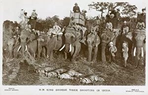 King George V shooting Tigers in India from a howdah