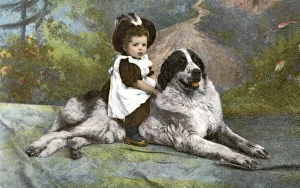 Kitch postcard of a Newfoundland dog and young rider Kitch postcard of a Newfoundland dog and young rider