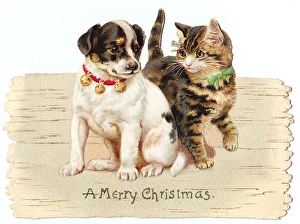 Kitten and puppy on a cutout Christmas card Kitten and puppy on a cutout Christmas card