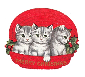 Three kittens in a basket on a cutout Christmas card Three kittens in a basket on a cutout Christmas card