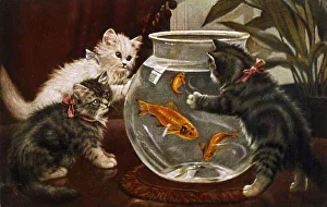 <b class=qtipBold><figcaption>Kittens & Goldfish Bowl</figcaption></b><br>Three kittens are fascinated by a goldfish bowl.<br><em>© Mary Evans Picture Library</em> Kittens & Goldfish Bowl