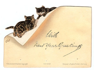 Two kittens playing on an envelope on a New Year card Two kittens playing on an envelope on a New Year card