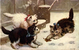 Pictures Now Collection: Kittens Playing with Leaf in the Snow Date: 1910