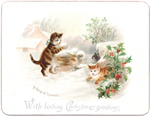 Three kittens snowballing on a Christmas card Three kittens snowballing on a Christmas card