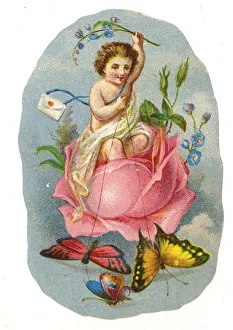 Label, Cherub with Love Letter riding in a rose Label, Cherub with Love Letter riding in a rose