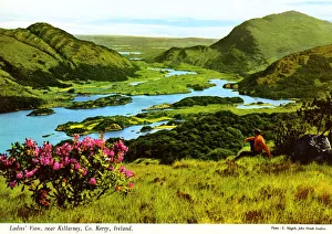 Ladies View, Near Killarney, County Kerry Ireland Ladies View, Near Killarney, County Kerry Ireland