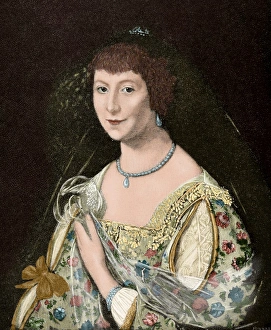 Lady Castlehaven. Engraving. Colored Lady Castlehaven. Engraving. Colored