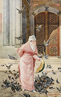 Lady feeding the pigeons - Constantinople, Turkey Lady feeding the pigeons - Constantinople, Turkey
