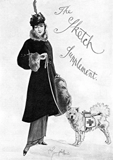 Lady with Red Cross fundraising dog, WW1 Lady with Red Cross fundraising dog, WW1