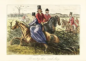 Lady riding side-saddle on a horse stuck in a fence Lady riding side-saddle on a horse stuck in a fence