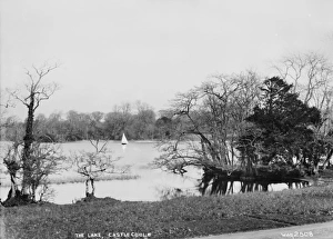 The Lake, Castlecoole The Lake, Castlecoole