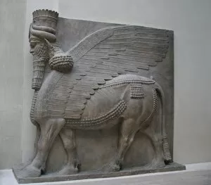 Images Dated 3rd December 2005: Lamasu or Bull-man. Reliefs from Sargon IIs Palace. Dur-Sha
