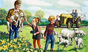 <b class=qtipBold><figcaption>Lambs in the spring</figcaption></b><br>Lambs in the spring. Date:<br><em>© Mary Evans Picture Library/Look & Learn</em> Lambs in the spring