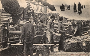 Landing Herring at Minehead, Somerset (and the fleet) Landing Herring at Minehead, Somerset (and the fleet)