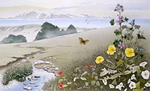 <b class=qtipBold><figcaption>Landscape with distant mountains</figcaption></b><br>A landscape consisting of wild flowers and Butterflies in the foreground, a meandering stream leading down intoa valley and distant water and mountains. Painting by Malcolm Greensmith<br><em>© Mary Evans/Malcolm Greensmith</em> Landscape with distant mountains