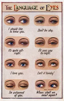 Facial Gallery: The Language of Eyes