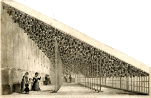 Hampton Court Palace Gallery: Large Vine House, Hampton Court Palace, London