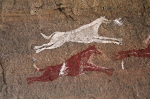 LIBYA. Tadrart Acacus. Representation of dogs LIBYA. Tadrart Acacus. Representation of dogs