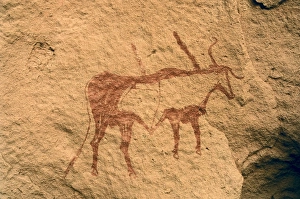 LIBYA. Tadrart Acacus. Zoomorphic drawing (circa LIBYA. Tadrart Acacus. Zoomorphic drawing (circa