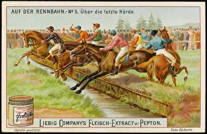 Liebig Horse Racing 5