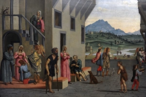 Life of the Young Tobias byFrancesco Granacci (1469-1543) Life of the Young Tobias byFrancesco Granacci (1469-1543)