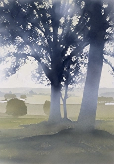 <b class=qtipBold><figcaption>Light through the trees</figcaption></b><br>Hazy mid-afternoon light falls through two large trees, sat in the middle of a classic English countryside scene of rolling fields and low distant hills. Airbrush painting by Malcolm Greensmith<br><em>© Mary Evans/Malcolm Greensmith Collection</em> Light through the trees