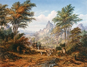 <b class=qtipBold><figcaption>The Lion Family, by Thomas Baines</figcaption></b><br>The Lion Family among the Granite Hills between Shasha and Macloutsie Rivers, by Thomas Baines (1820-1875). (1 of 5) Date: 1872<br><em>© Mary Evans Picture Library</em> The Lion Family, by Thomas Baines