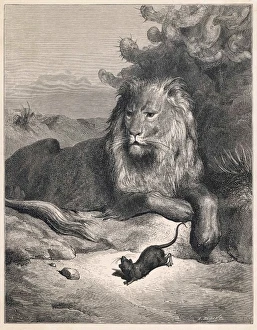 <b class=qtipBold><figcaption>The Lion and the Mouse</figcaption></b><br><em>© Mary Evans Picture Library</em> The Lion and the Mouse