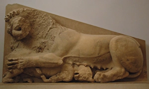 Lioness attacking a bull. Relief. Probably part of the origi Lioness attacking a bull. Relief. Probably part of the origi