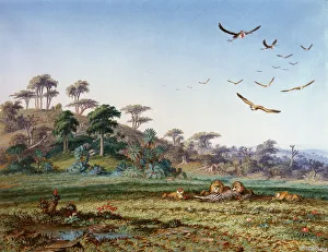 Vulture Gallery: Lions and Dead Quagga, by Thomas Baines