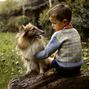 Little boy with Collie dog in a garden Little boy with Collie dog in a garden