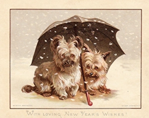 Two little dogs in the snow on a New Year card Two little dogs in the snow on a New Year card